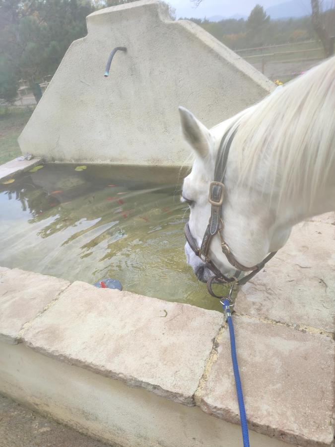 מלון Rians  La Margottiere Chez Isa Et Titi מראה חיצוני תמונה