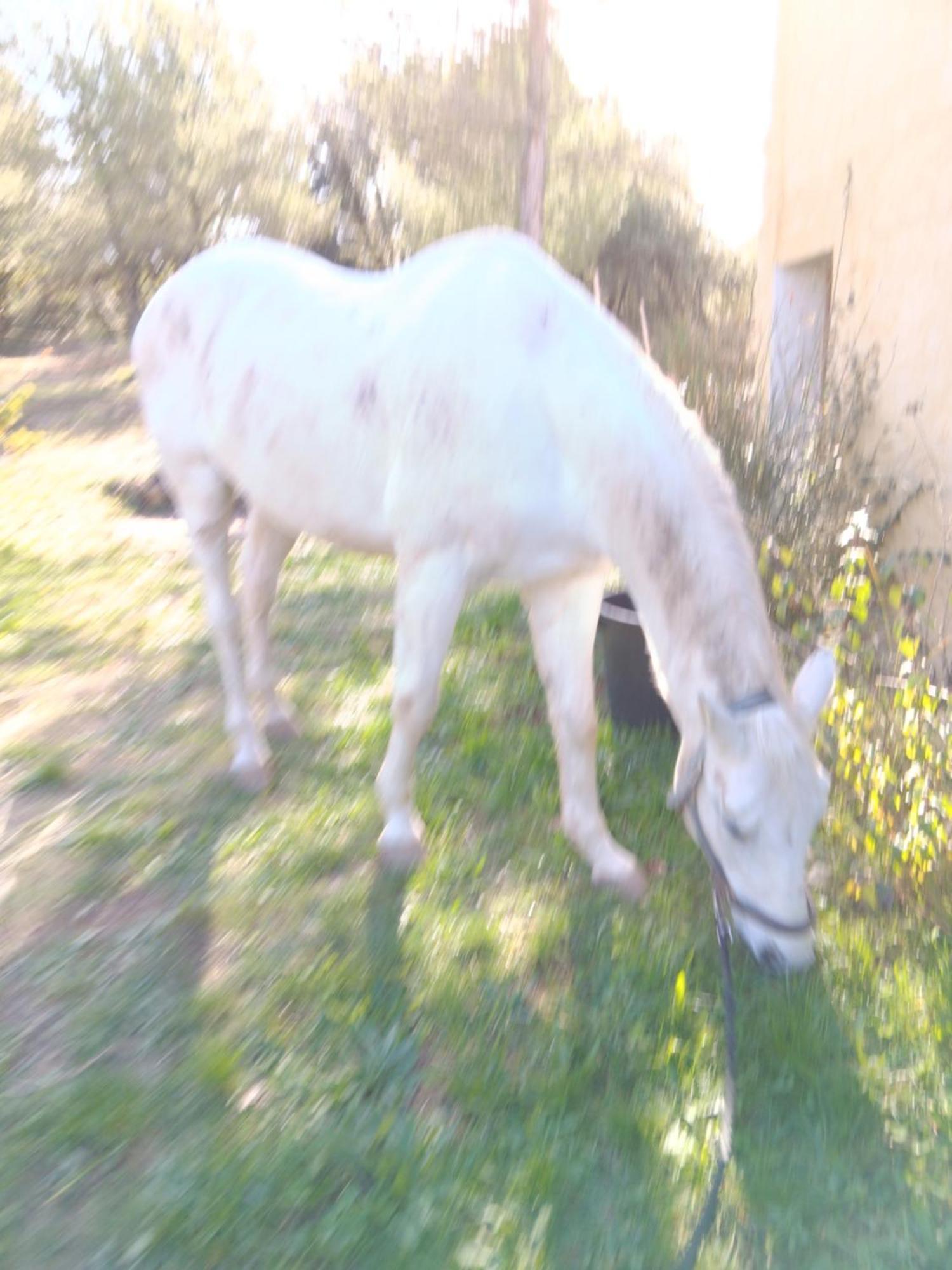 מלון Rians  La Margottiere Chez Isa Et Titi מראה חיצוני תמונה