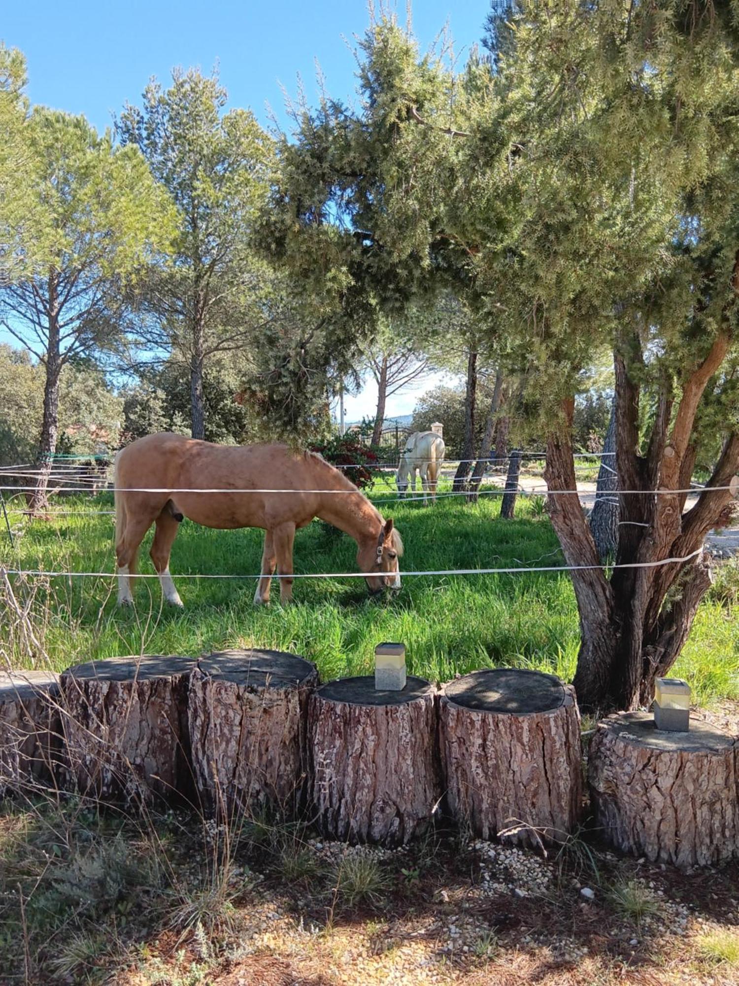 מלון Rians  La Margottiere Chez Isa Et Titi מראה חיצוני תמונה